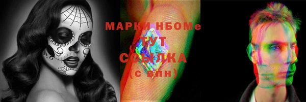 стаф Каменск-Шахтинский