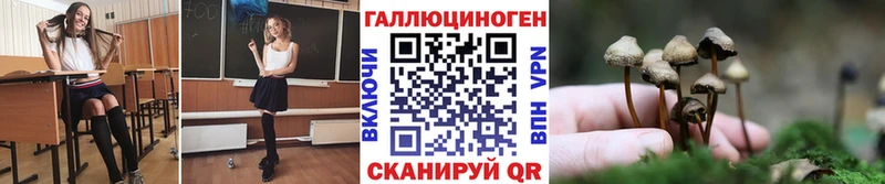 Псилоцибиновые грибы ЛСД  Талица 